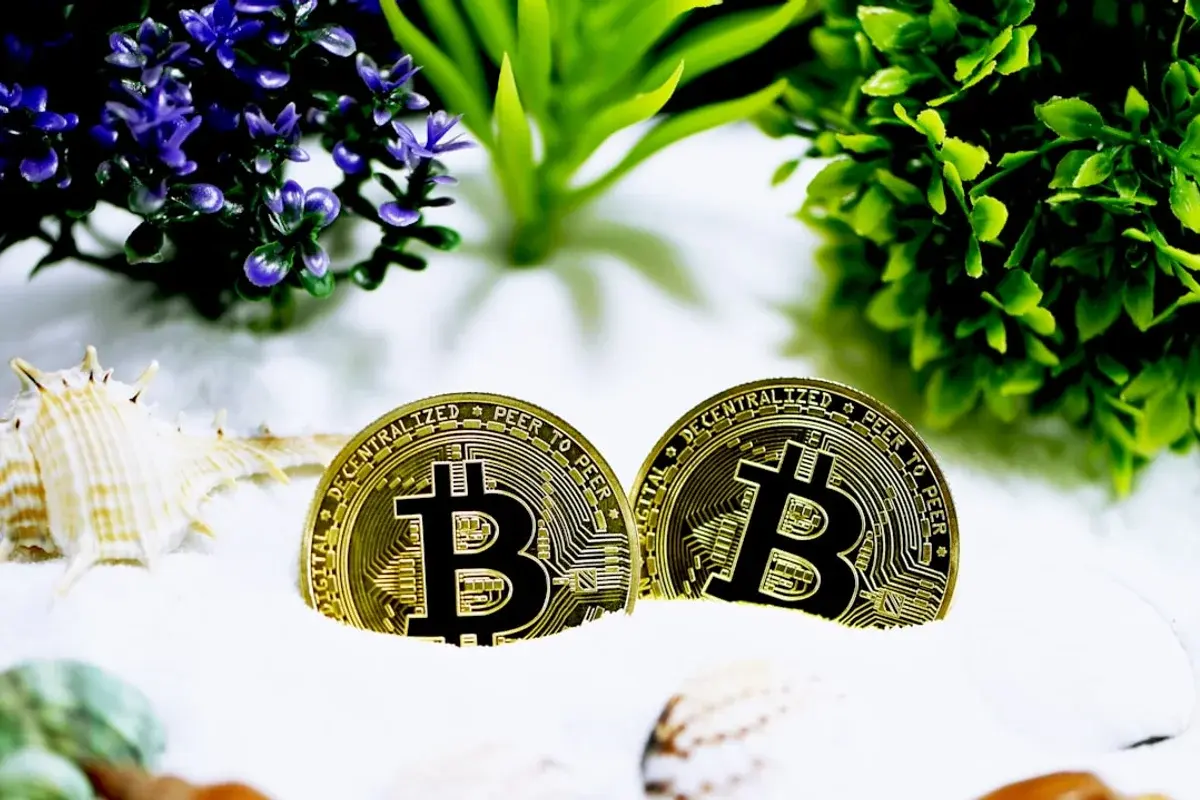 Market Capital - cryptocurrency update illustration