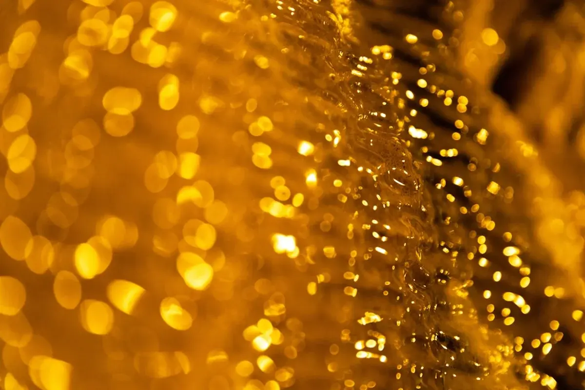 MCX Commodities to Watch Today: Gold, Crude Oil, and Base Metals in Focus on March 13, 2026 - financial news image